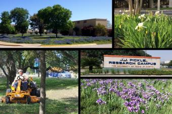 Image collage of the landscape at JJ Pickle Research Campus