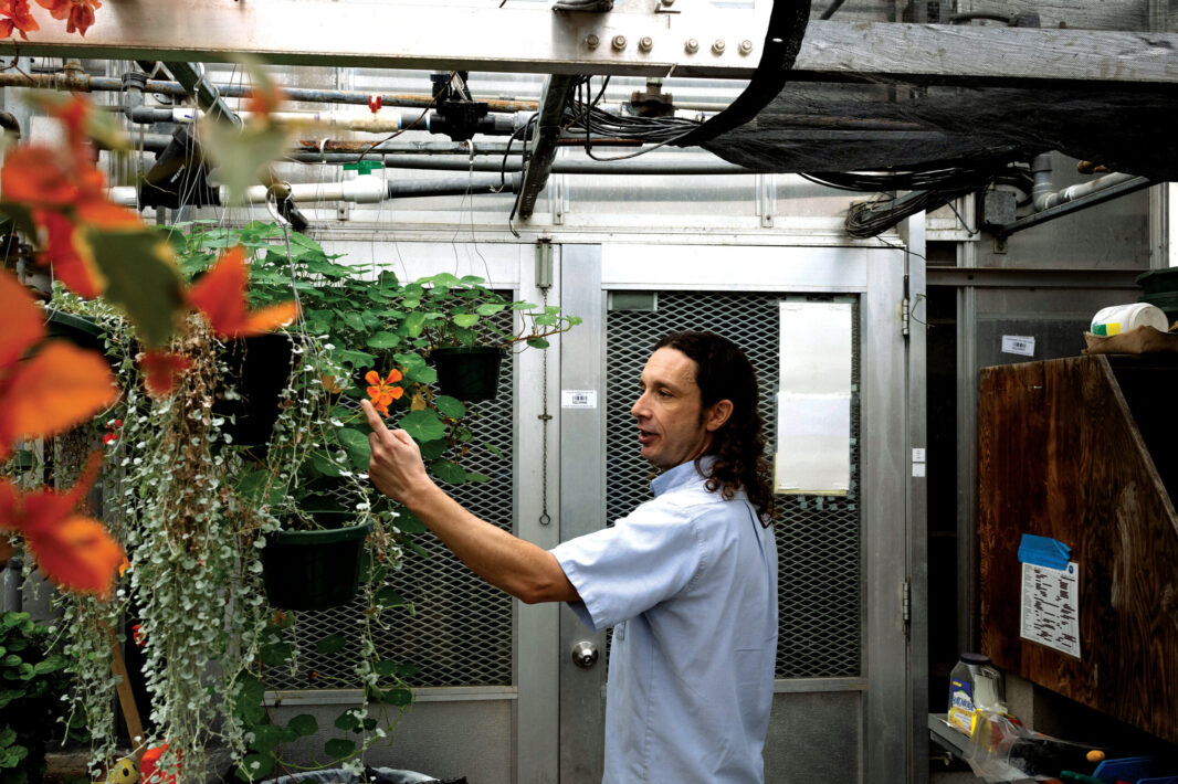 Horticulturist and Landscape Architect Ty Kasey looks at plants in greenhouse