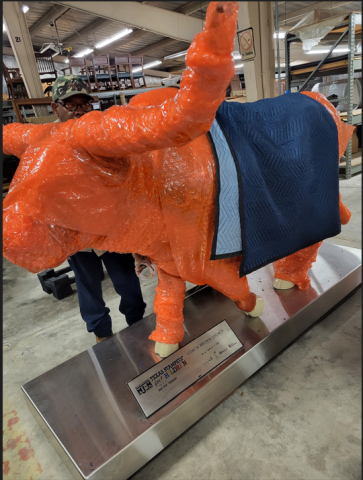 photo of Event and Moving Services moving a large longhorn statue