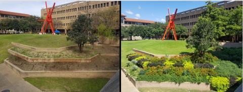 Before and After photos of landscape improvements at Chemical and Petroleum Engineering (CPE)