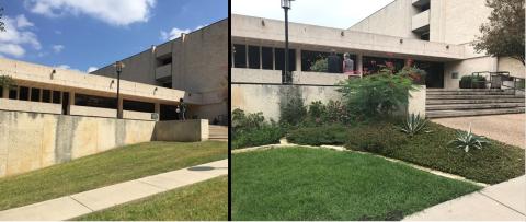 Before and After photos of lamdscape updates at the Thompson Conference Center (TCC)