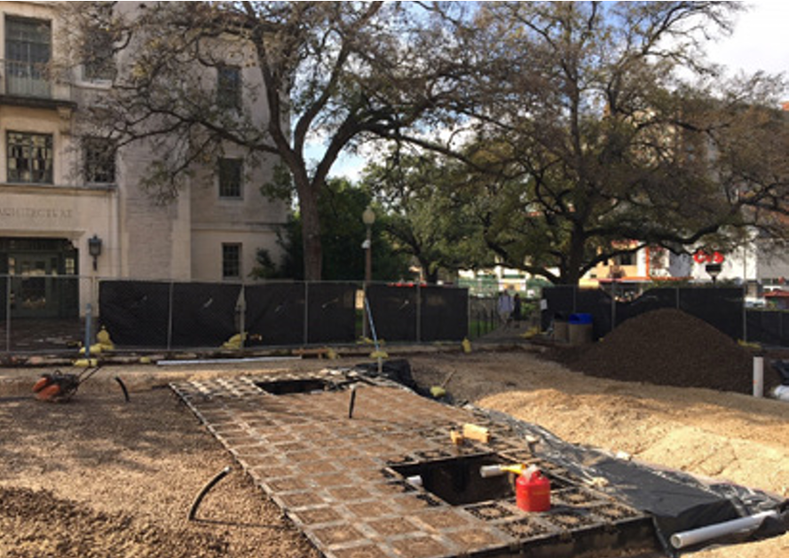 Cells filled with planting soil and structural soil installed