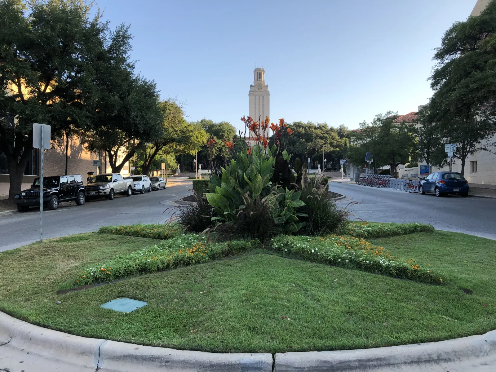 Flower bed image on university avenue with UT tower in the background