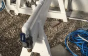 Water horse