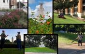 Image collage of the landscape on Main Campus