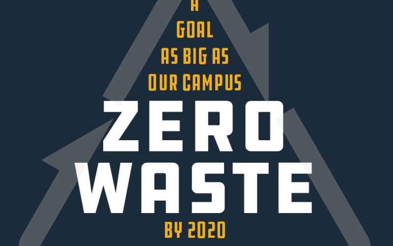 ZW Initiatives 2012
